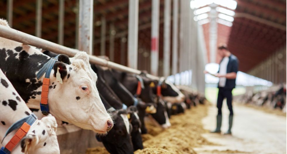 Wisconsin lost 10% of dairy farms last year amid Trump's trade war with China
