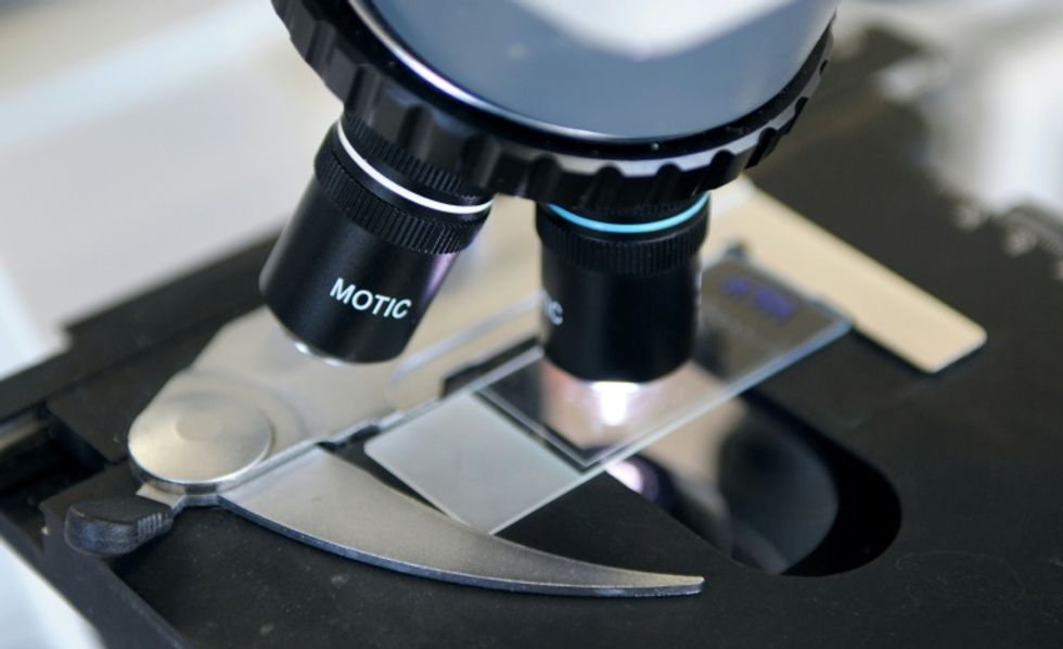 Scientists find powerhouses that fight tumors from within