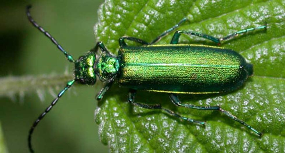 Here are the 10 weirdest ways humanity has tried to cure sexual dysfunction