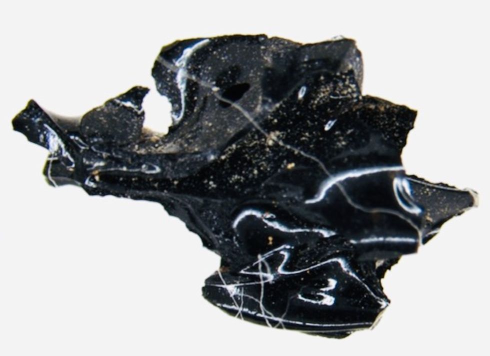 Black 'rock' from AD 79 Italy eruption is part of exploded brain