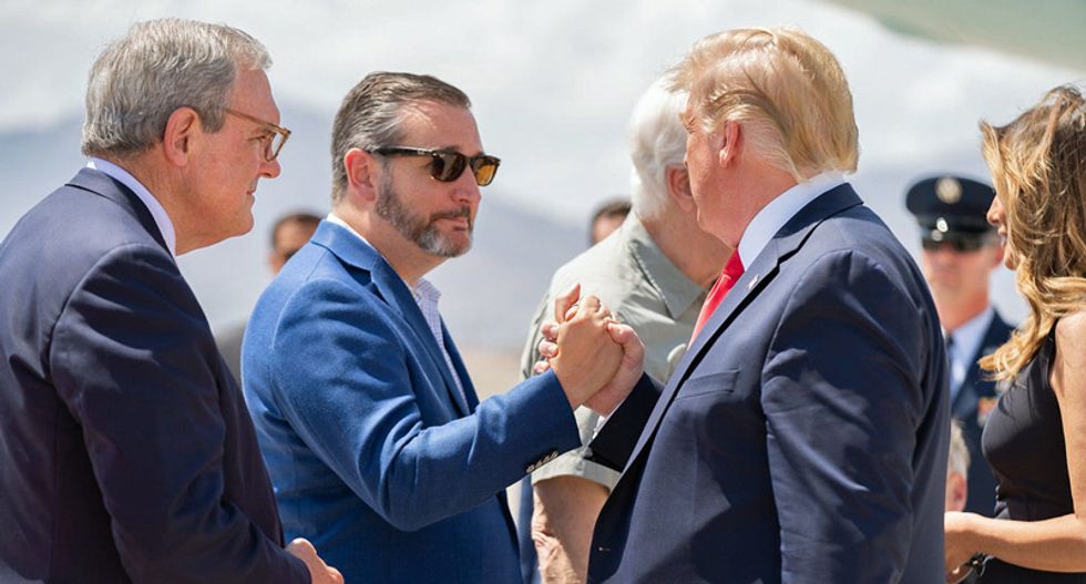 One Texas senator doesn't like the Trump lawsuit -- the other will argue it