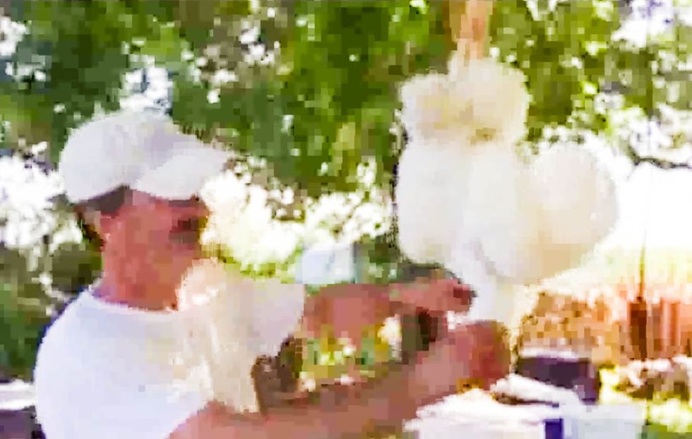 WATCH: GOP lawmaker decapitates a live chicken on camera to make a 'point' about abortion