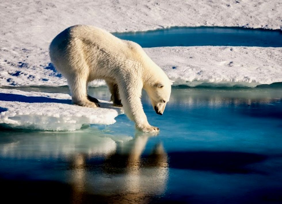 US judge scraps Trump order opening Arctic, Atlantic areas to oil leasing