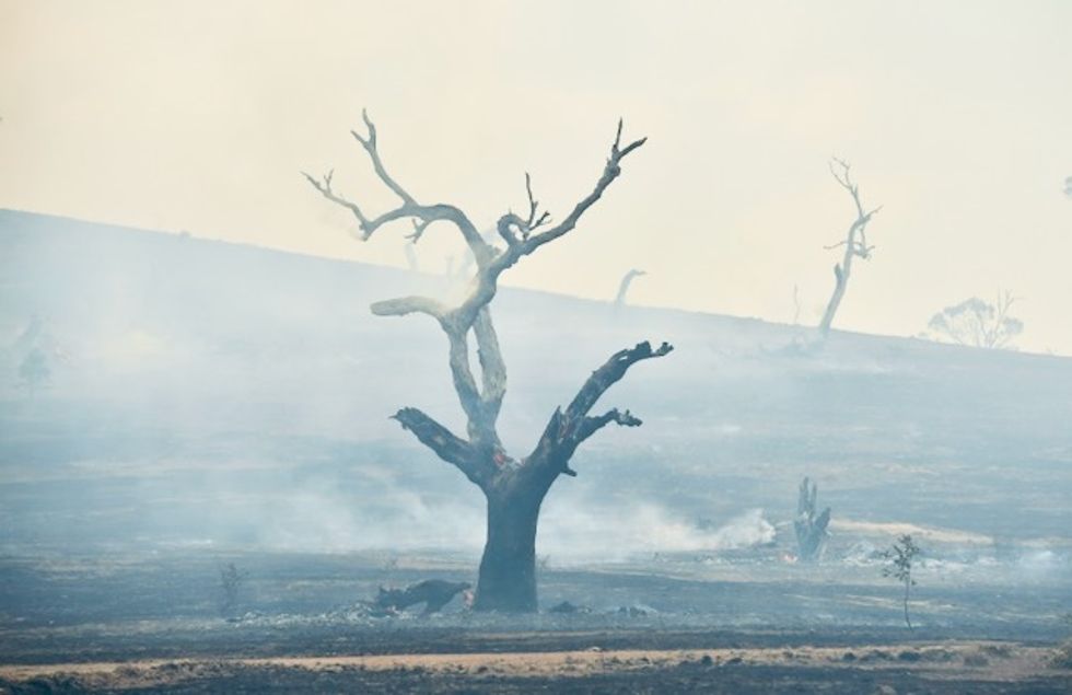 Rains 'breaking the back' of Australia bushfire crisis