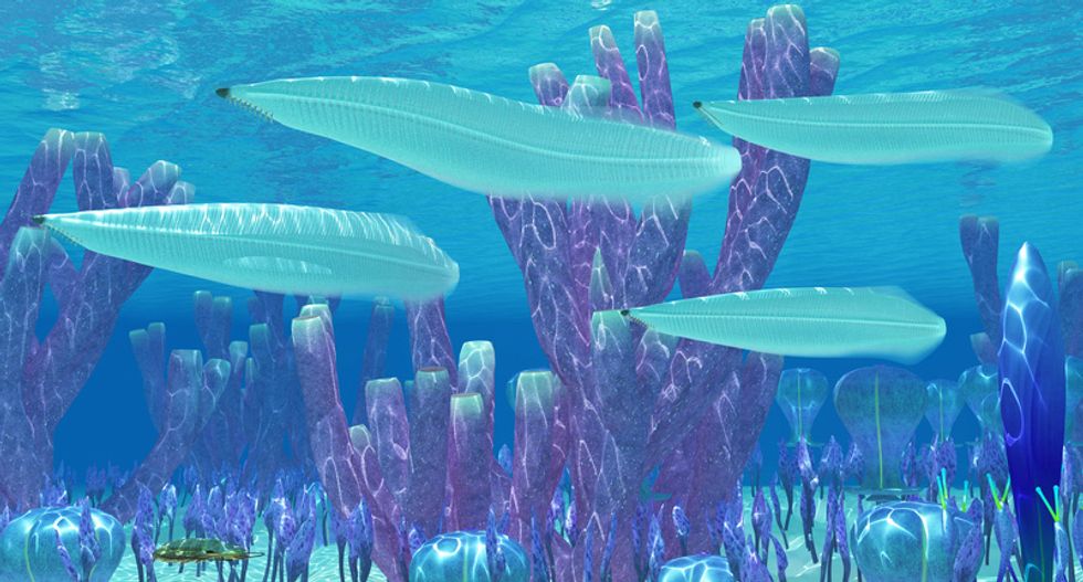 Evolution is getting a rethink after scientists take a closer look at Earth's first animals