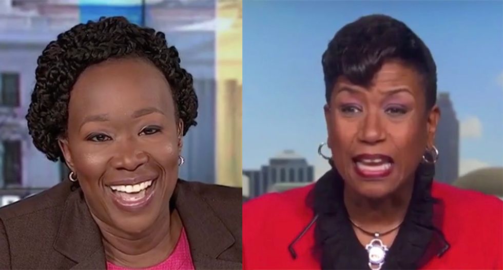 Trump supporter freaks out on MSNBC's Joy Reid after she calls the president an 'authoritarian'