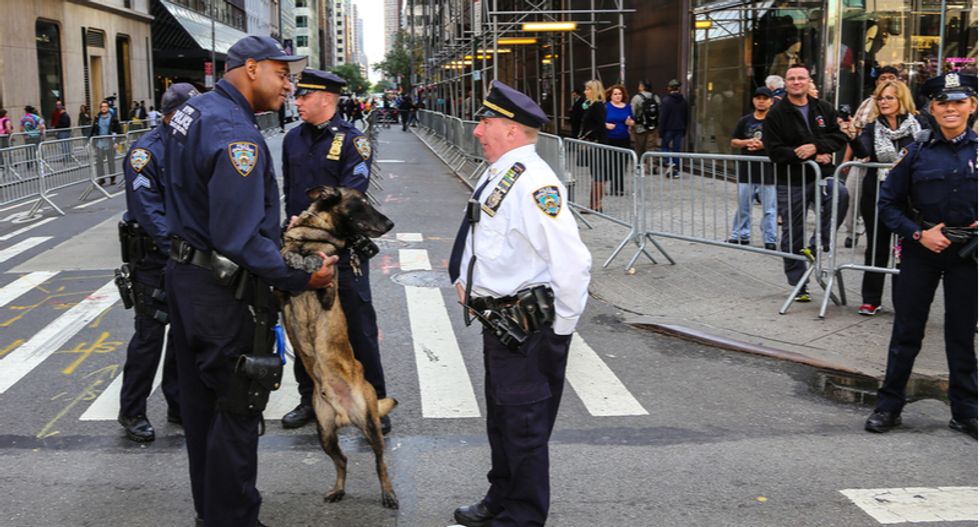 Trump seeks to completely eliminate the federal budget for bomb-sniffing dogs