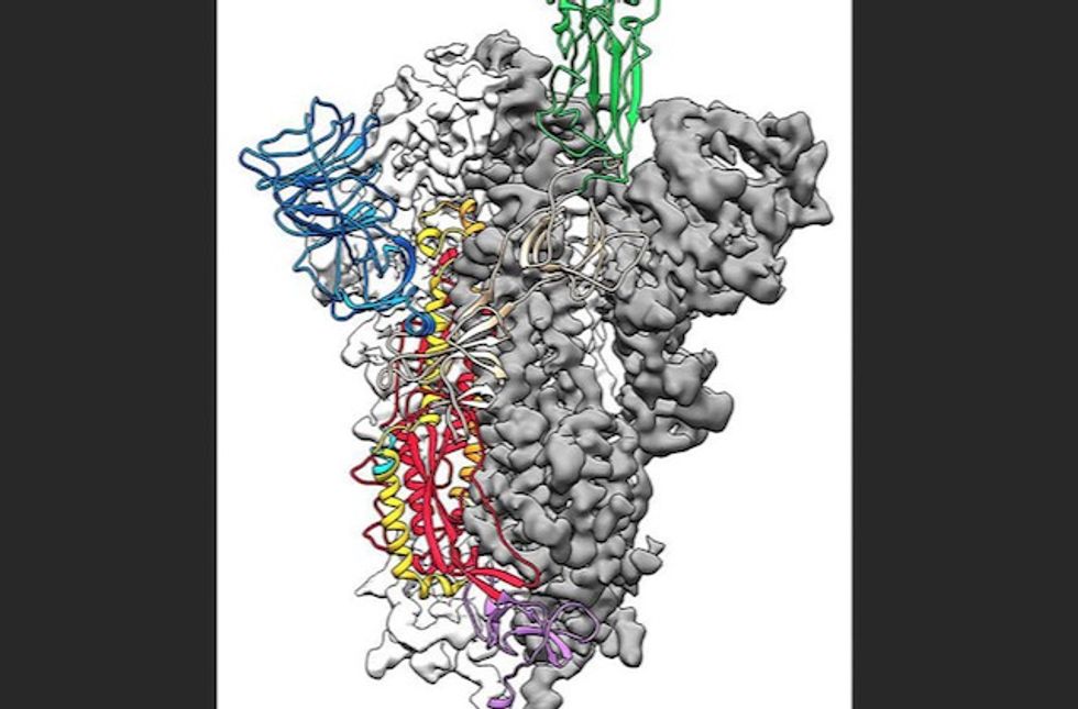 US Scientists announce 'breakthrough' atomic map of coronavirus