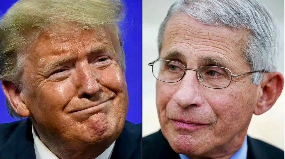 Trump has ‘routinely gossiped’ that Dr. Fauci was auditioning ‘to get a job at CNN’: report