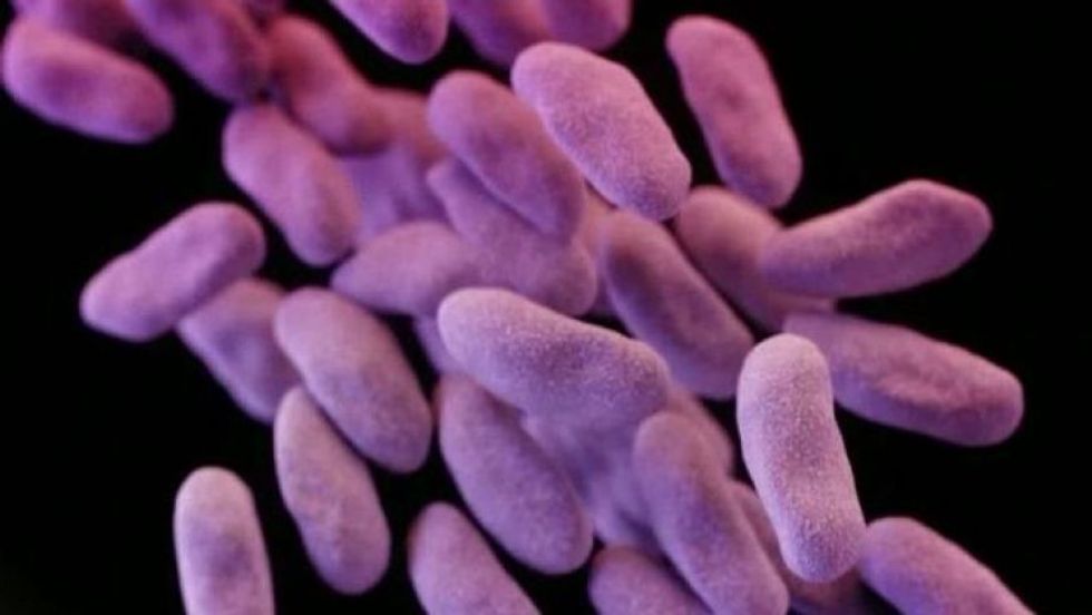 Frightening antibiotic-resistant superbug scientists have warned us about has reached the US