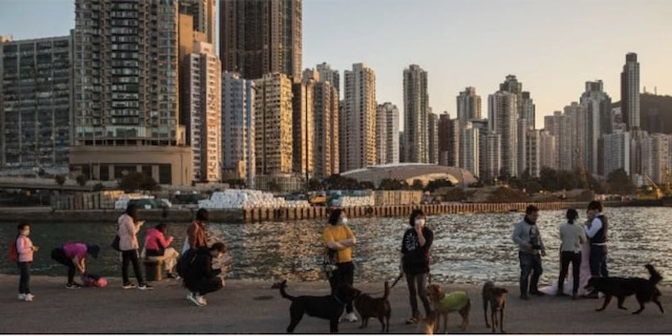 Hong Kong pets face coronavirus quarantine after dog tests positive