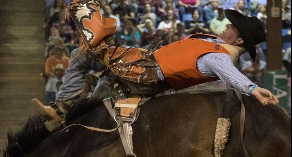 Rodeo rider killed in trampling accident while performing in New Jersey