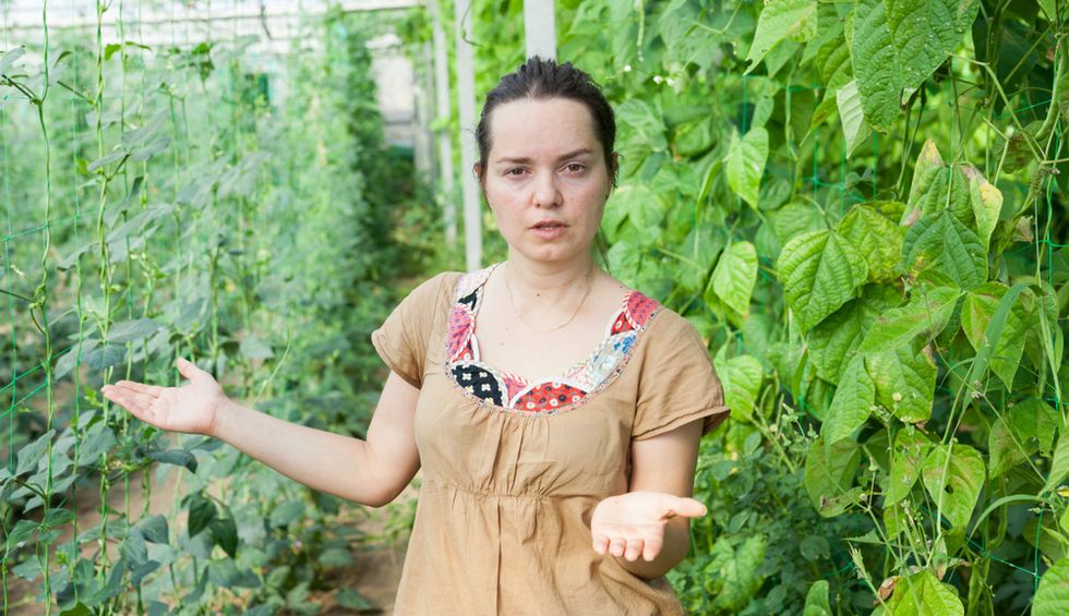 Farmers stuck with rotting produce as coronavirus scrambles supply chains: It's 'really weird right now'