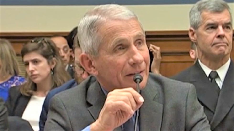 Republican tries to get doctor to downplay coronavirus threat -- and it backfires spectacularly