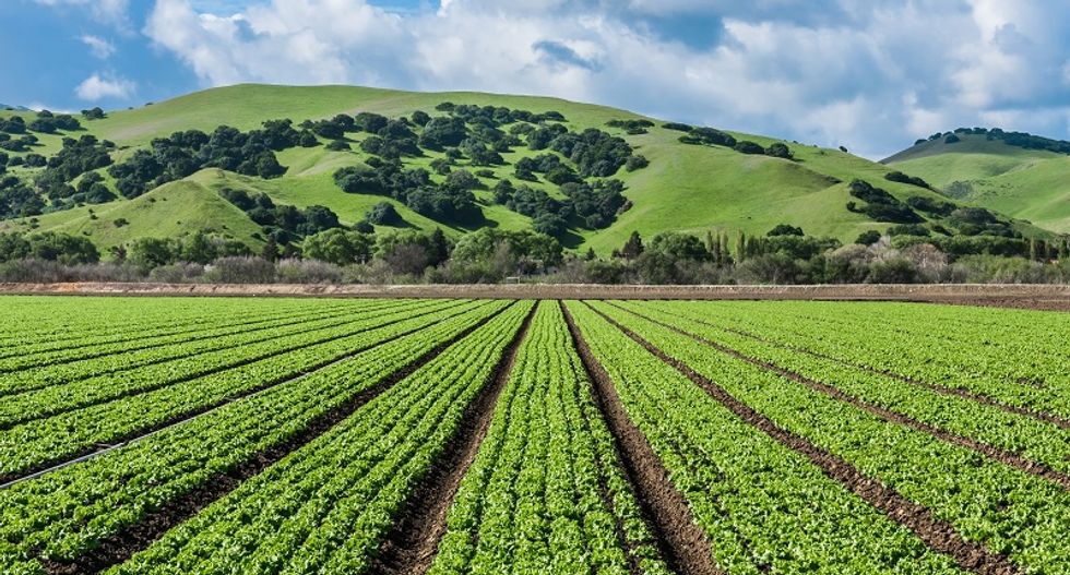 Moving beyond pro-con debates over genetically engineered crops