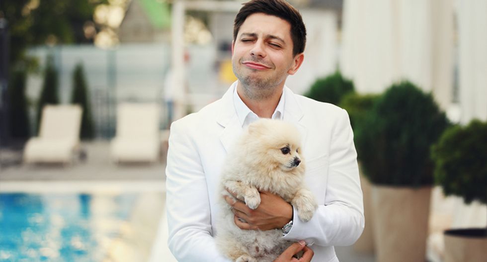 Here are 10 cities where dogs are treated better than many people