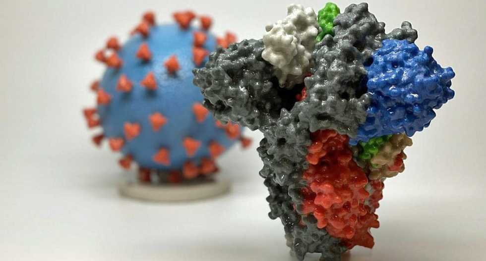Coronavirus can survive on some surfaces for days: study
