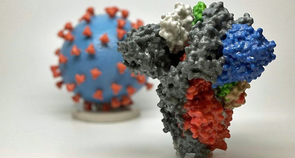 Coronavirus can survive on some surfaces for days: study