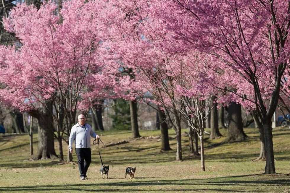 Will the coronavirus outbreak be stopped by the warm spring weather? Here’s what 5 experts say