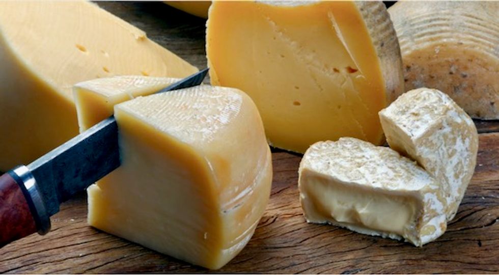 The surprising role cheese played in human evolution