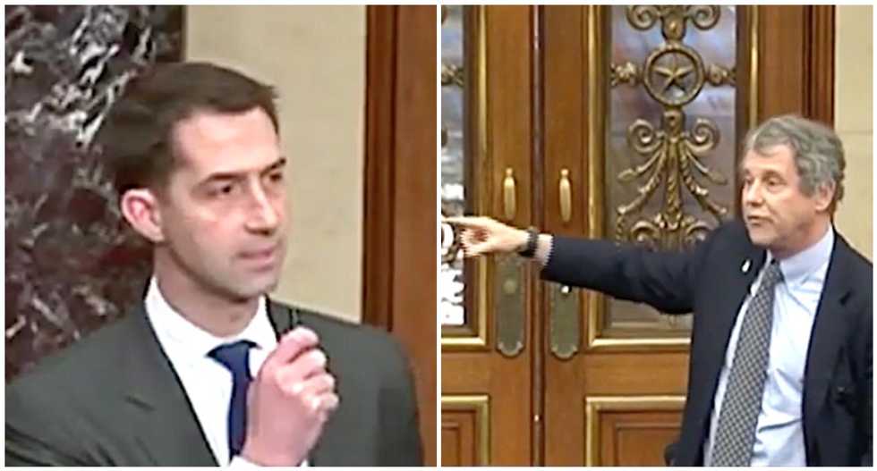 ‘You always want to do Trump's bidding’: Tom Cotton gets shut down as sparks fly in the Senate
