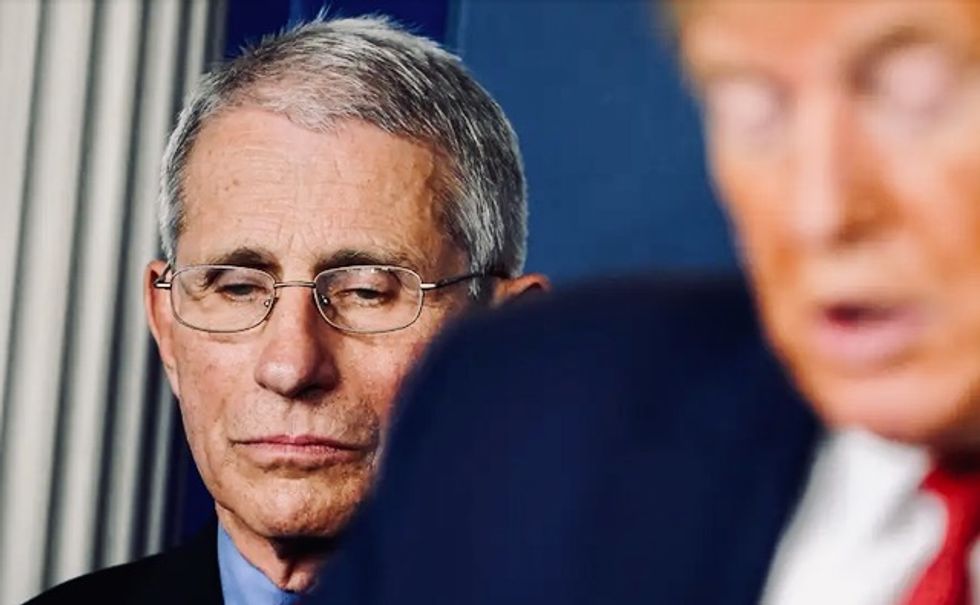 Trump expected to 'fire Fauci' if he wins