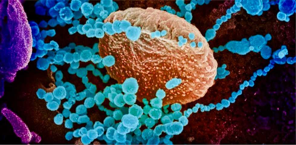 Coronavirus: a new type of vaccine using RNA could help defeat COVID-19