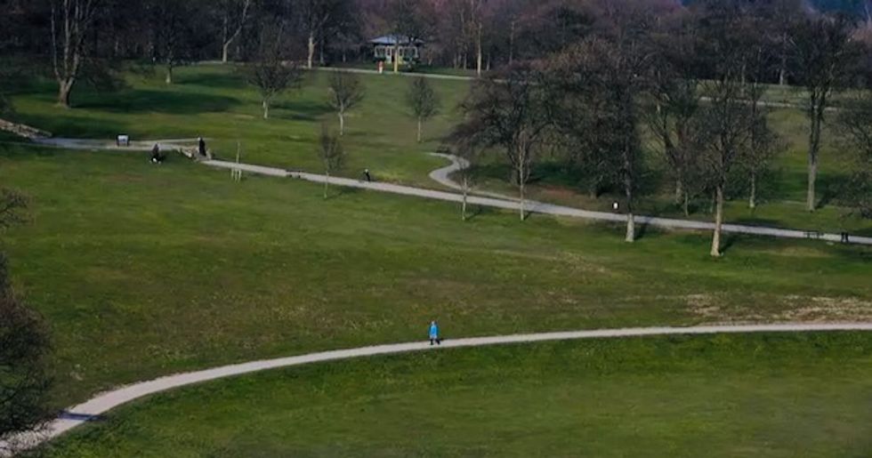 'Heartbreak' as UK garden sector faces virus 'wipe out'