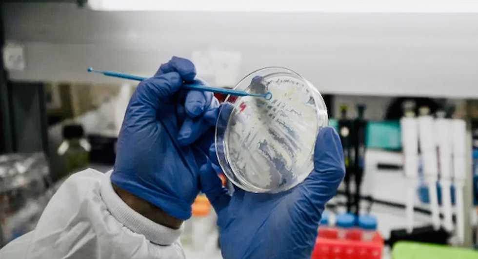 Planes, dry ice, pharmacies: the logistical challenges of COVID-19 vaccines