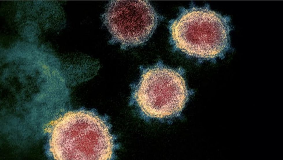 US halts sale of bleach product touted as 'miracle' virus cure by the Genesis II Church of Health and Healing