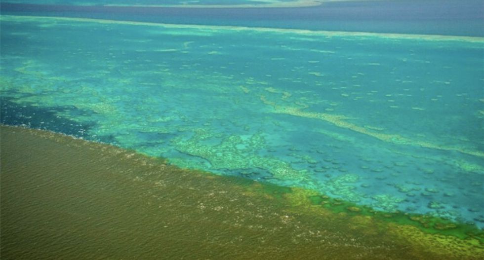 Australian flood water runoff could 'smother' the struggling Great Barrier Reef