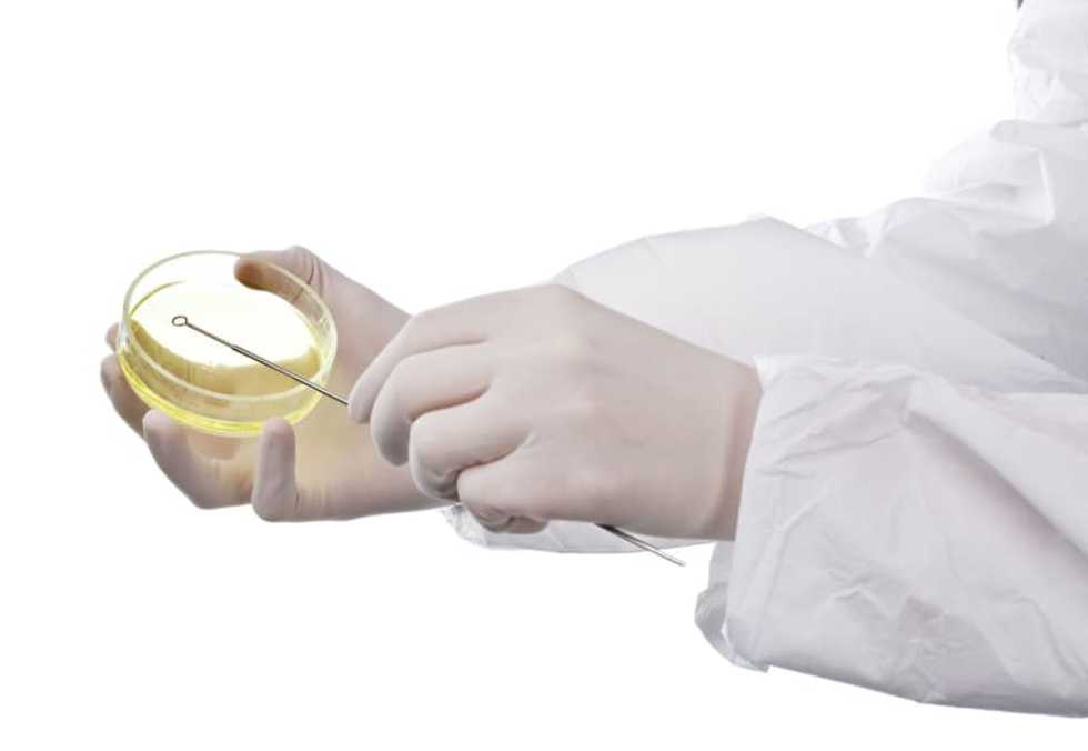 In a race against time, coronavirus vaccine testing expands