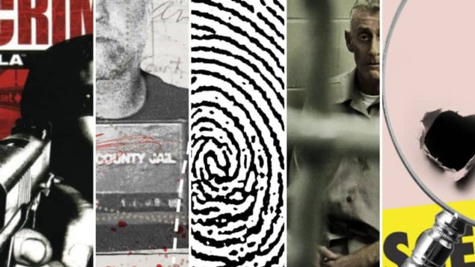 Netflix series reveal injustice and junk science are plaguing our nation’s courts