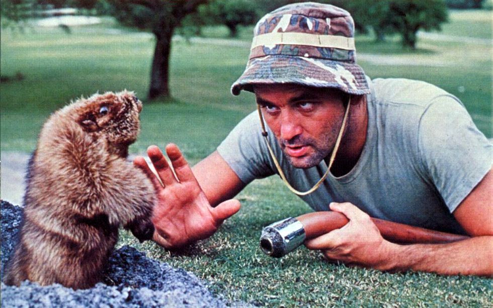 Trump golf course suffering from 'Caddyshack'-style varmint infestation: report