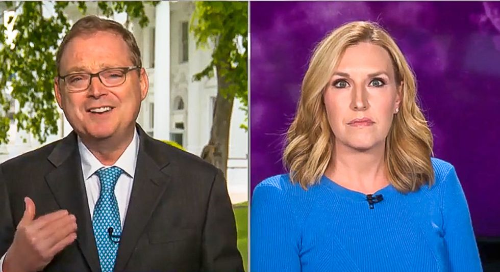 White House economic adviser struggles to explain his pandemic 'model' that shows zero deaths by May 15