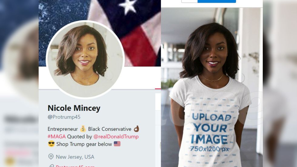 Twitter suspends army of fake accounts after Trump thanks propaganda 'bot' for supporting him
