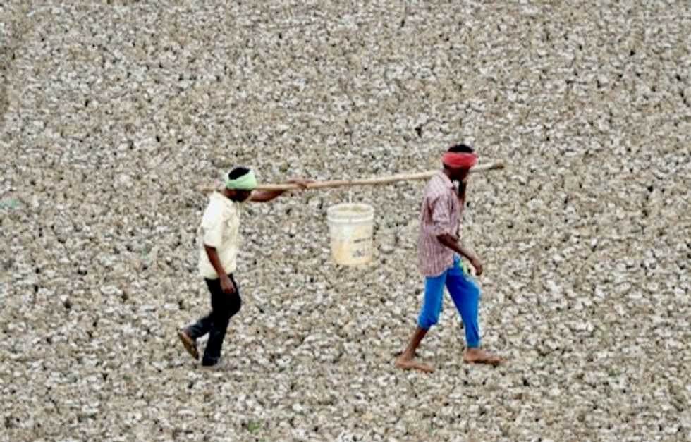 Quarter of world's population facing extreme water stress