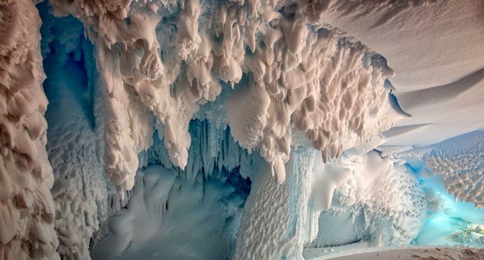 Warm Antarctic caves harbor secret life of plants, animals and unknown species: scientists