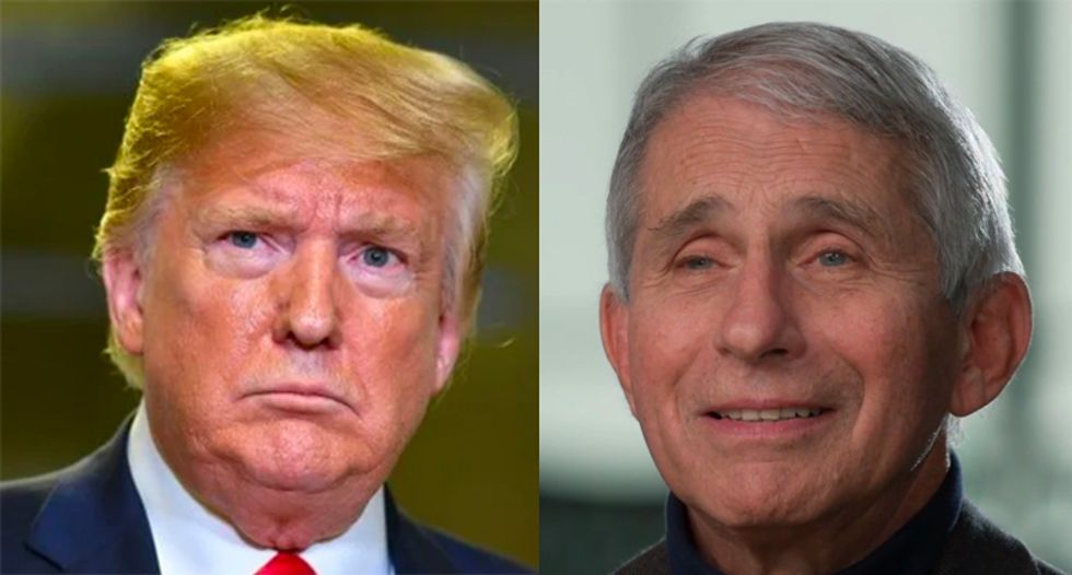 Trump is losing his war with Anthony Fauci -- and he can't do anything about it: columnist