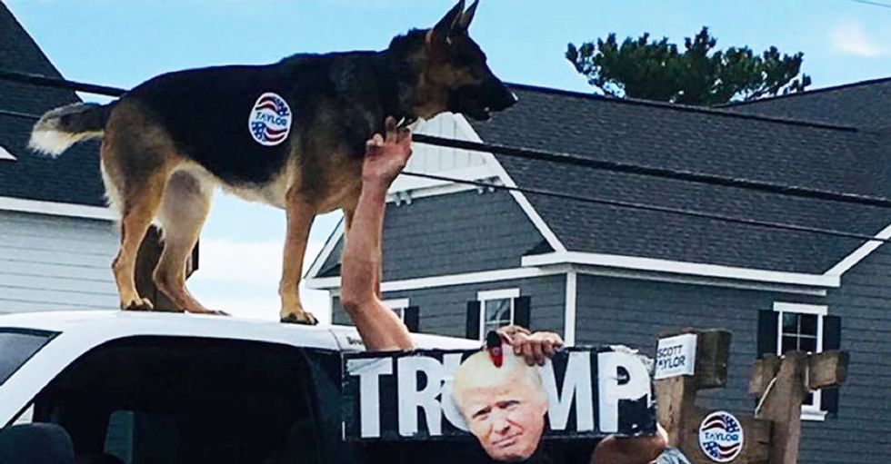 ‘Flat out voter intimidation’: Trump supporter with barking German shepherd parks outside Virginia polling place