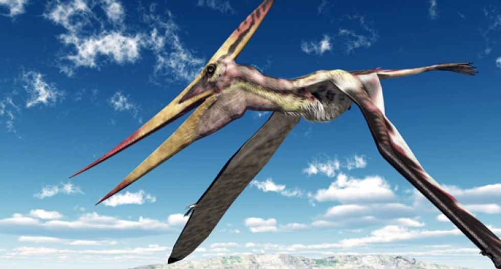 New pterosaur fossil reveals birds and small reptiles flew side by side