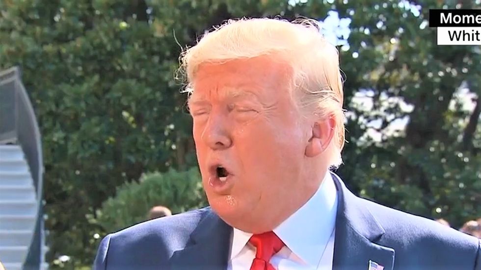 'The White House is panicking': Ex-Trump official says president is freaking out about latest defection