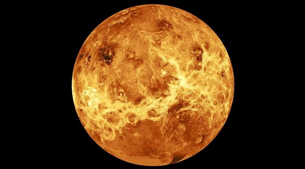 Back to Venus: Upstart company wants to beat NASA in search for life