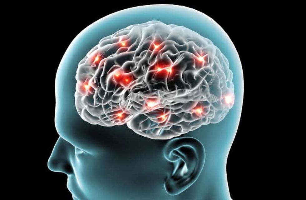 New study uncovers people’s neuropsychological response to reading Donald Trump’s negative tweets
