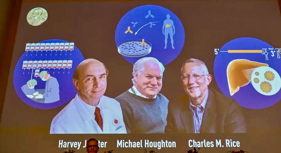 US-British trio win Nobel Medicine Prize for Hepatitis C discovery