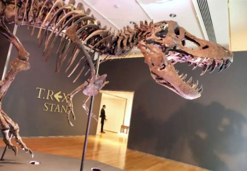 T-Rex fossil sells for record-breaking $31.8 mn