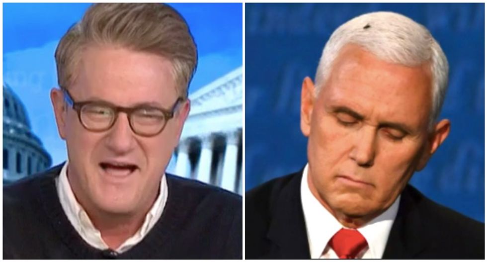 MSNBC’s Morning Joe wonders how furious Trump is over Pence getting upstaged by a fly