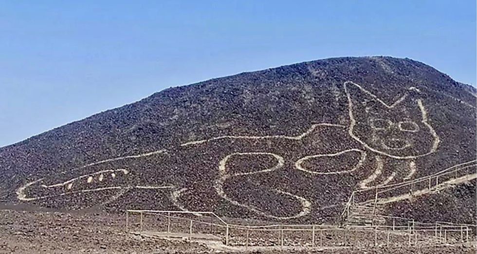 Peru unveils giant cat etching at famous Nazca site