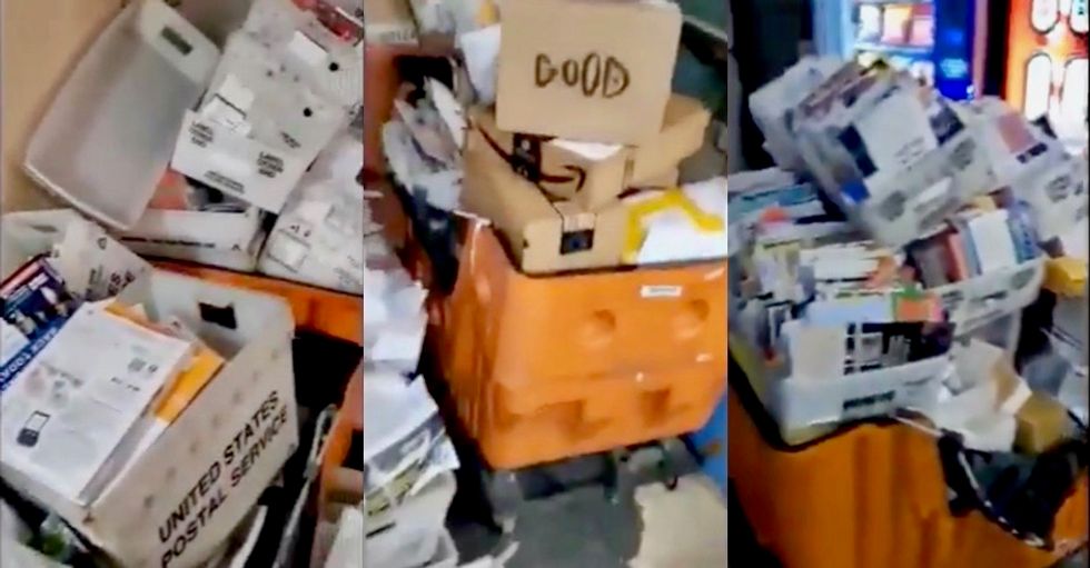 ‘Mail has been sitting for over a week!’: Disturbing video from inside Florida post office – mail-in ballots ‘piled up’