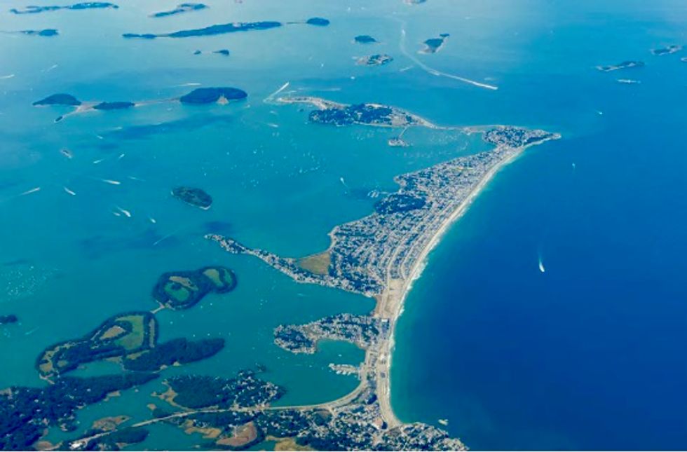 Tumor-free flounder are just 1 dividend from the cleanup of Boston Harbor